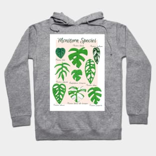 Monstera Species in Gouache- Coral Hoodie